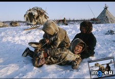 Tags: boys, nenets (Pict. in National Geographic Photo Of The Day 2001-2009)