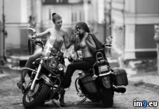 Tags: biker, chicks, cigar, nsfw, share (Pict. in My r/NSFW favs)