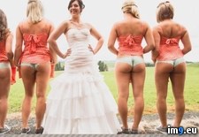 Tags: bridesmaids, mooning, trend (Pict. in My r/NSFW favs)