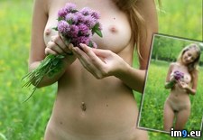 Tags: flowers, nsfw, prettier (Pict. in My r/NSFW favs)