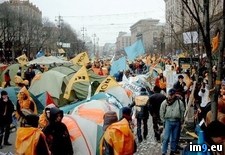 Tags: orange005, photo, ukraine (Pict. in Ukraine  pictures)