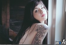 Tags: boobs, hot, nature, orion, snowday, softcore, suicidegirls, tatoo, tits (Pict. in SuicideGirlsNow)