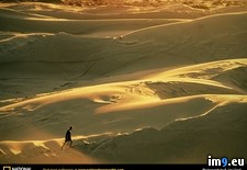Tags: dunes, outback (Pict. in National Geographic Photo Of The Day 2001-2009)