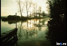 Tags: oxford, riverbank (Pict. in National Geographic Photo Of The Day 2001-2009)