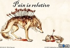 Tags: pain, relative, wolfs (Pict. in Rehost)