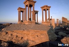Tags: palmyra, ruins (Pict. in National Geographic Photo Of The Day 2001-2009)