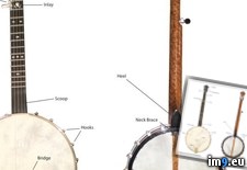 Tags: banjo, parts (Pict. in Westman Jams Images)