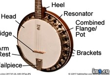 Tags: banjo, parts (Pict. in Westman Jams Images)