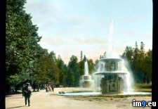 Tags: fountains, palace, park, peterhof (Pict. in Branson DeCou Stock Images)