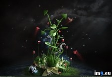 Tags: 1280x800, photosynthesis, wallpaper (Pict. in Desktopography Wallpapers - HD wide 3D)