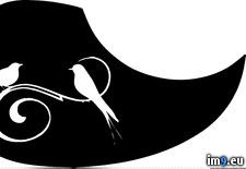 Tags: birds, guard, pick, swirl (Pict. in Custom Pickguard Art)