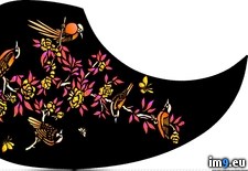 Tags: birds, branches, four, guard, pick (Pict. in Custom Pickguard Art)