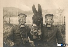 Tags: historical, images, rare (Pict. in My r/PICS favs)