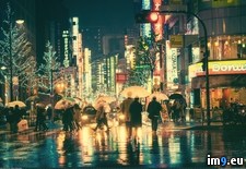 Tags: colorful, night, rainy, tokyo (Pict. in My r/PICS favs)