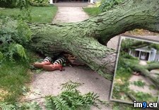 Tags: blow, creative, friend, tree (Pict. in My r/PICS favs)