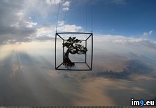 Tags: artist, bonsai, japanese, launches, space (Pict. in My r/PICS favs)