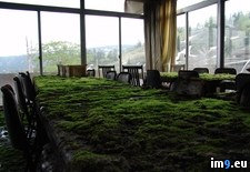 Tags: abandoned, hotel, japan (Pict. in My r/PICS favs)