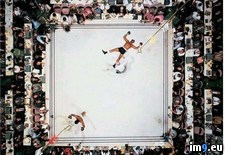 Tags: aerial, ali, defeating, muhammad, williams (Pict. in My r/PICS favs)