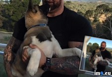 Tags: arms, dogs, mountain, puppies (Pict. in My r/PICS favs)