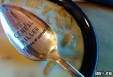 Tags: all, birthday, cereal, day, eat, gift, night, too, way, wife (Pict. in My r/PICS favs)
