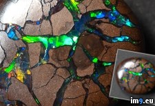 Tags: boulder, opal (Pict. in My r/PICS favs)