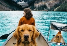 Tags: adventure, canadian, canoeing, dog (Pict. in My r/PICS favs)