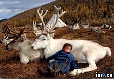 Tags: child, mongolia, reindeer, sleeping (Pict. in My r/PICS favs)