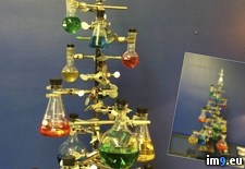 Tags: christmas, for, lab, tree (Pict. in My r/PICS favs)