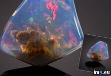 Tags: opal, worth (Pict. in My r/PICS favs)