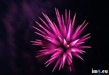 Tags: beautiful, cool, fireworks, focus, highres, photo, pull, shot, single, technique, tonight, unedited, wallpaper (Pict. in My r/PICS favs)
