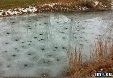 Tags: creek, fell, froze, holes, ice, leaves, leaving, melted, neighborhood, shaped, star (Pict. in My r/PICS favs)
