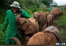 Tags: elephant, nairobi, orphanage (Pict. in My r/PICS favs)