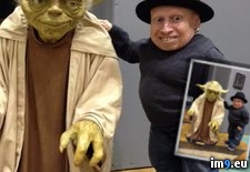 Tags: yoda (Pict. in My r/PICS favs)