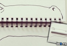 Tags: added, everyday, objects, simple, sketches (Pict. in My r/PICS favs)