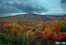 Tags: fall, virginia (Pict. in My r/PICS favs)