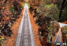 Tags: fall, tracks, train (Pict. in My r/PICS favs)