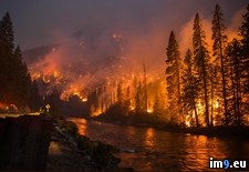 Tags: firefighters, hot, jump, leavenworth, posted, protecting, spots, yards (Pict. in My r/PICS favs)