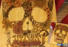 Tags: flower, kitchen, skull, woodburning (Pict. in My r/PICS favs)