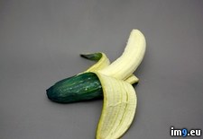 Tags: art, disguised, food (Pict. in My r/PICS favs)