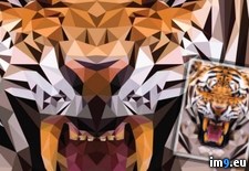 Tags: geometric, tiger, triangles (Pict. in My r/PICS favs)