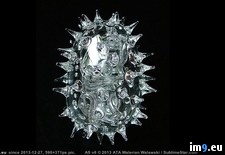 Tags: deadly, glass, jerram, luke, sculptures, viruses (Pict. in My r/PICS favs)