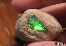 Tags: green, opal, shard, stone, trapped (Pict. in My r/PICS favs)