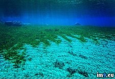 Tags: blue, clea, clearest, guess, lake, metres, naturally, visibility, water, world (Pict. in My r/PICS favs)