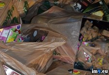 Tags: all, bunch, christmas, donated, for, happy, kids, tots, toys (Pict. in My r/PICS favs)