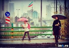 Tags: humans, tehran (Pict. in My r/PICS favs)