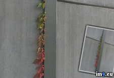 Tags: change, saw, seasons, too (Pict. in My r/PICS favs)