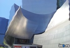 Tags: concert, disney, hall, phone, picture, vibrate, walt (Pict. in My r/PICS favs)