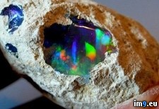 Tags: opal, raw (Pict. in My r/PICS favs)