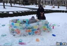 Tags: ago, awesome, family, gem, igloo, inspired, making, polar, vortex, year (Pict. in My r/PICS favs)