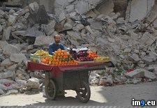 Tags: life, syria (Pict. in My r/PICS favs)
